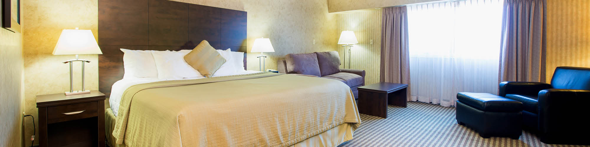 Winnipeg hotel guest room with single queen bed